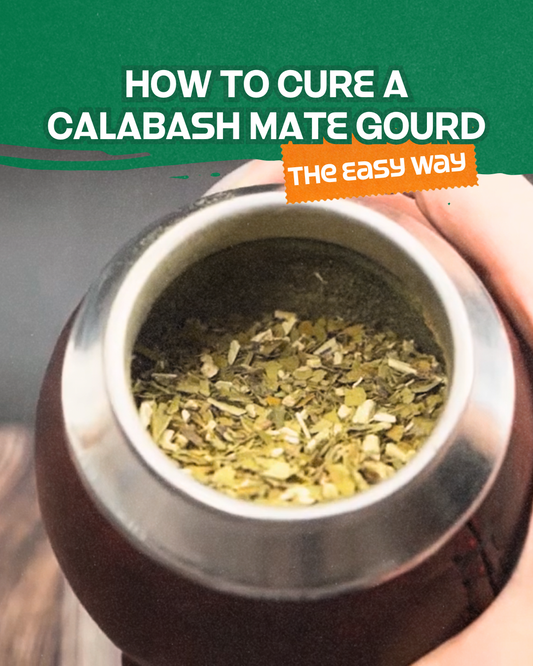 How to Cure a Calabash Mate Gourd (The Easy Way)