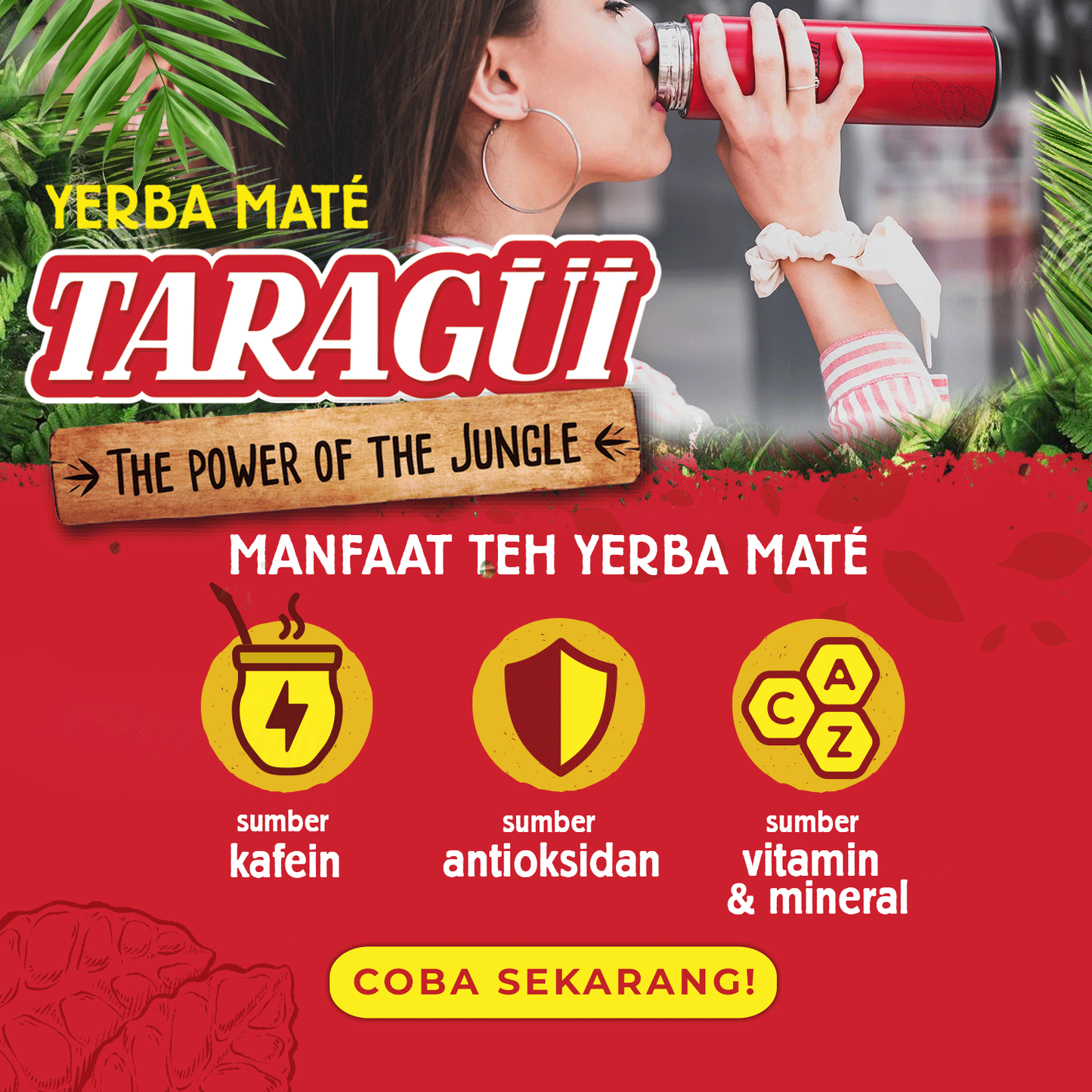 Taragui Yerba Mate Tea Bags | Teh Celup Botanikal Argentina 15g