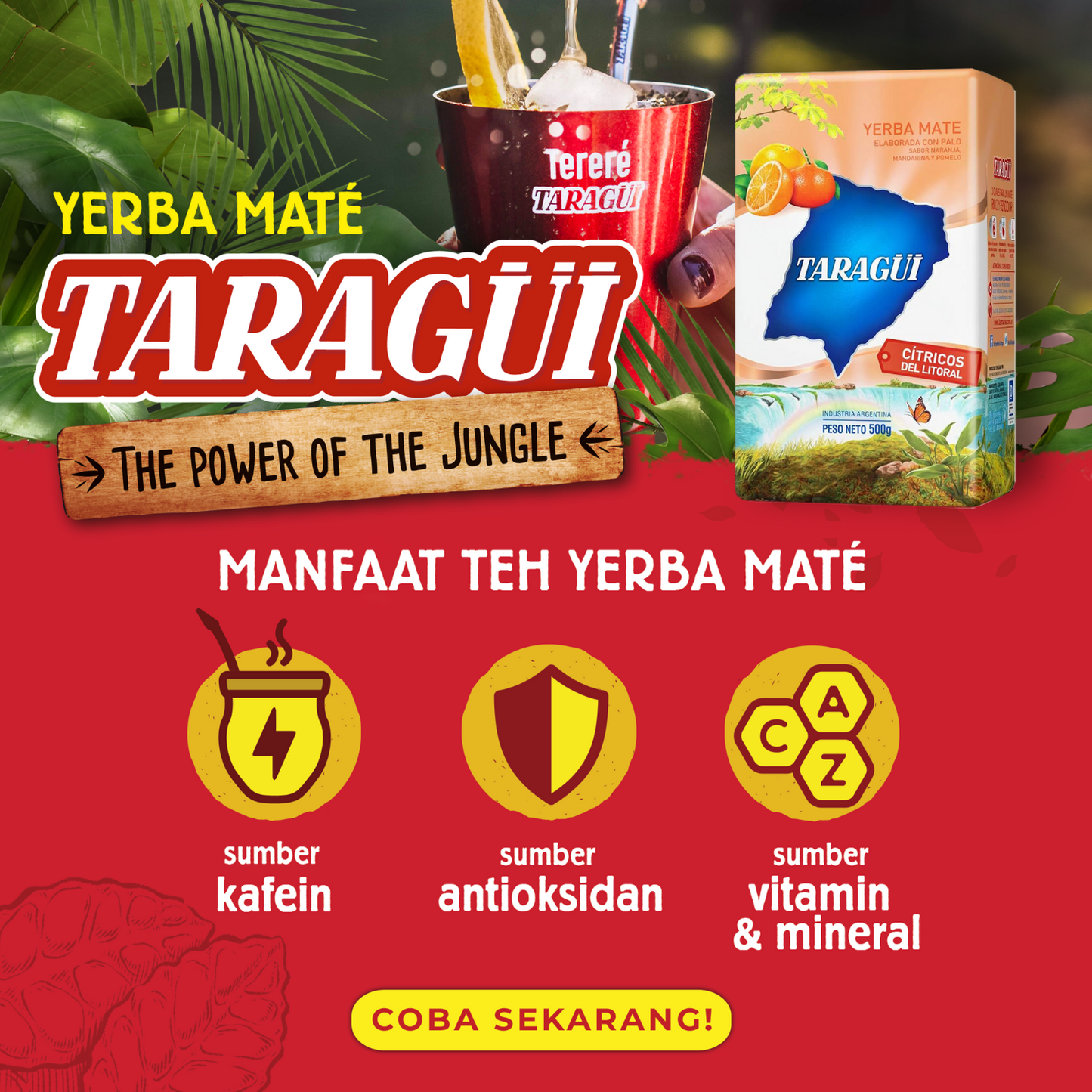 Taragui Yerba Mate Citrus with stems 500g | Teh Botanikal Yerba Mate dengan Rasa Jeruk Argentina