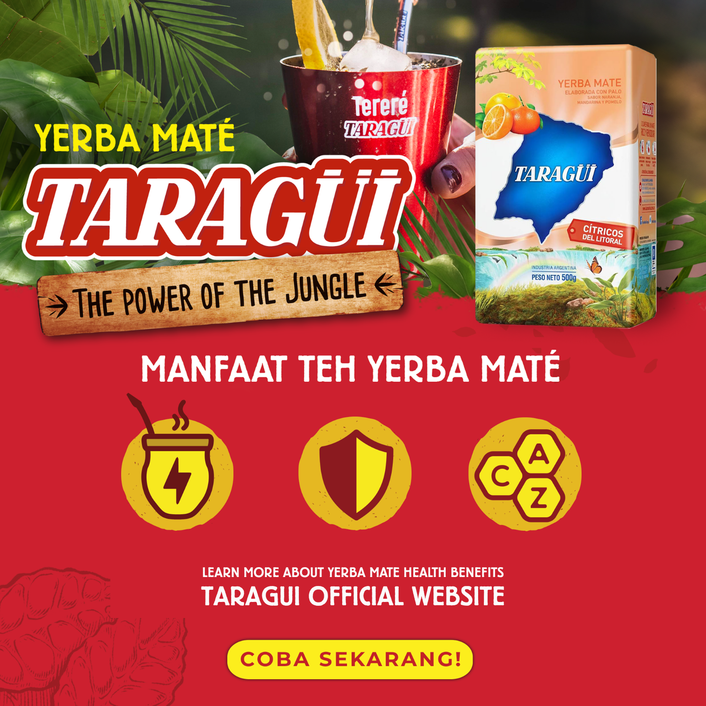 Taragui Yerba Mate Citrus with stems 500g | Teh Botanikal Yerba Mate dengan Rasa Jeruk Argentina