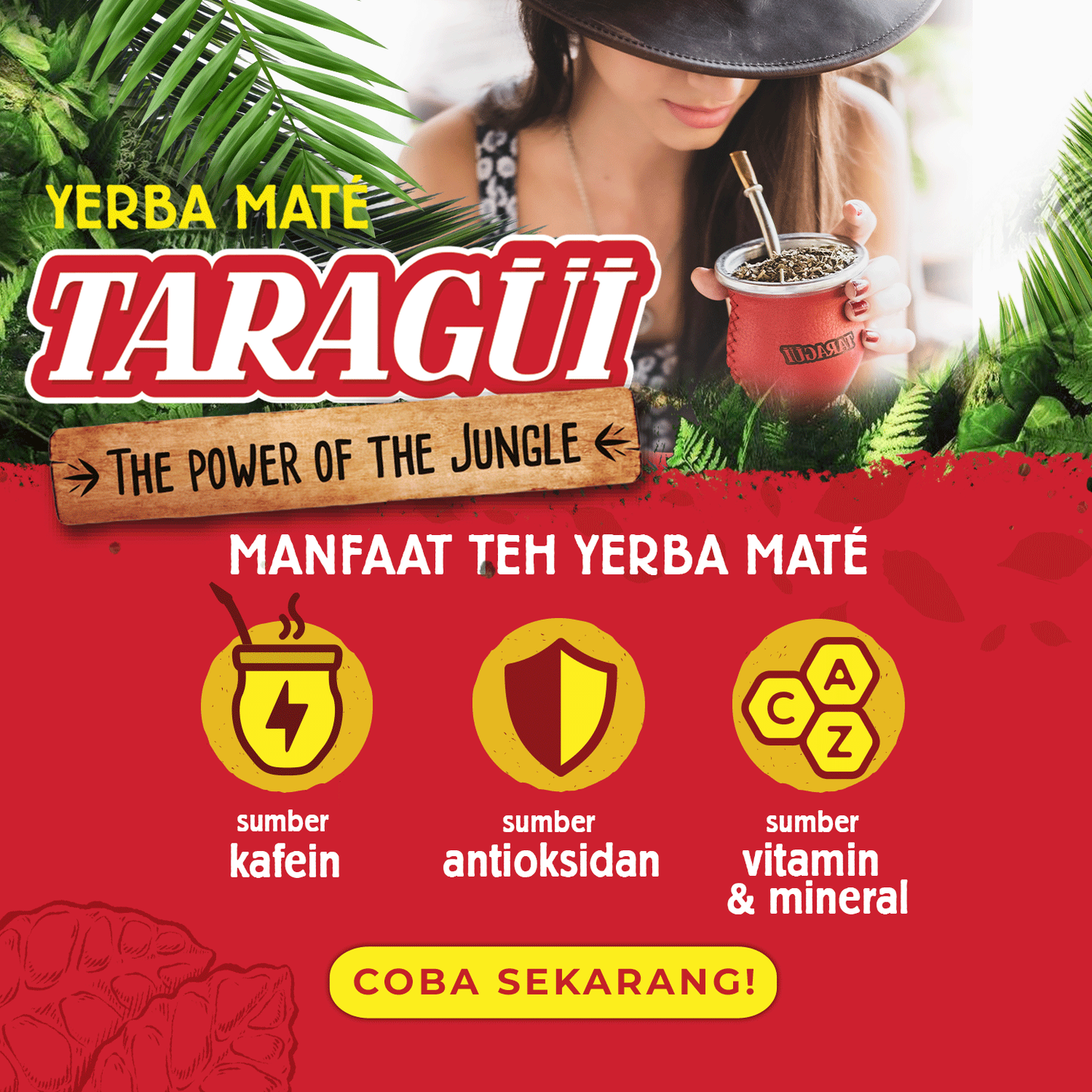 Gift Box Taragui Yerba Mate Starter Kit 500g